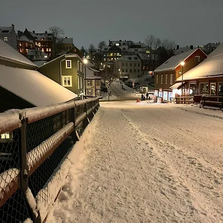 Beautiful House - Walking Distance Of Everything * Trondheim