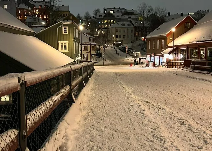 Beautiful House - Walking Distance Of Everything * Trondheim