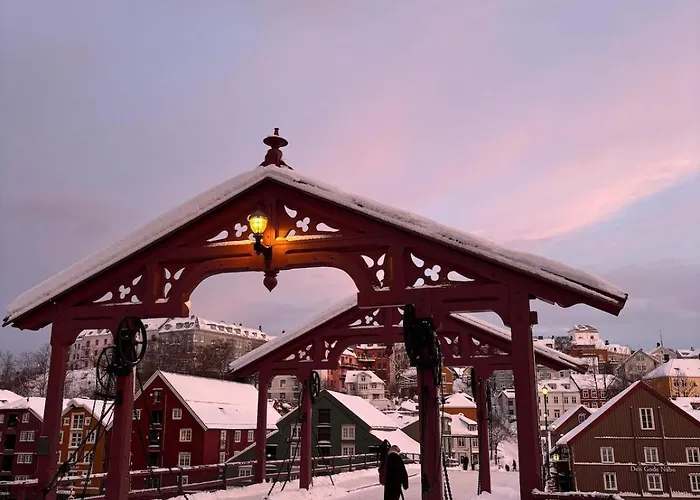 Daire Beautiful House - Walking Distance Of Everything Trondheim